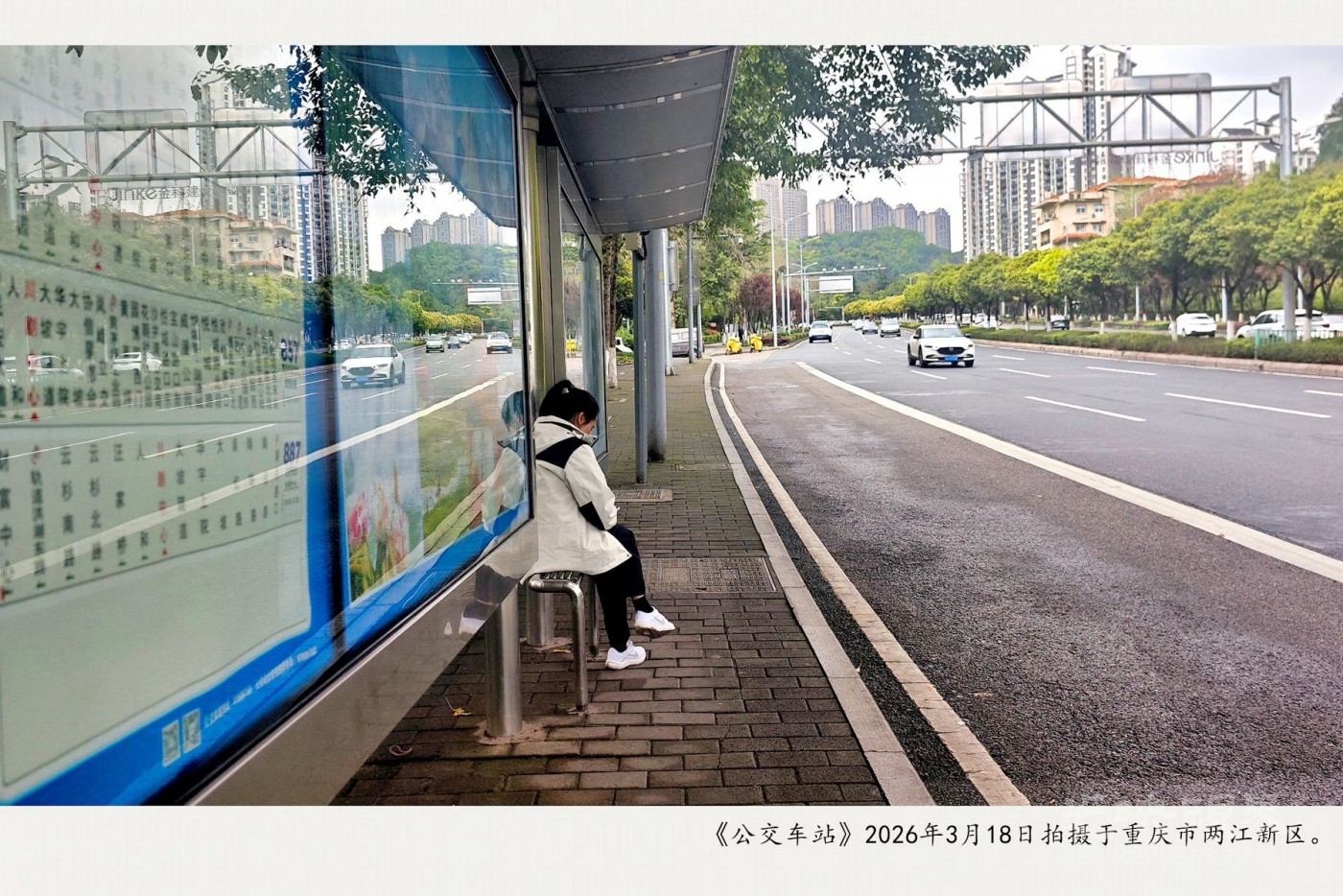 IMG_20260318_102957_副本_副本_副本.jpg