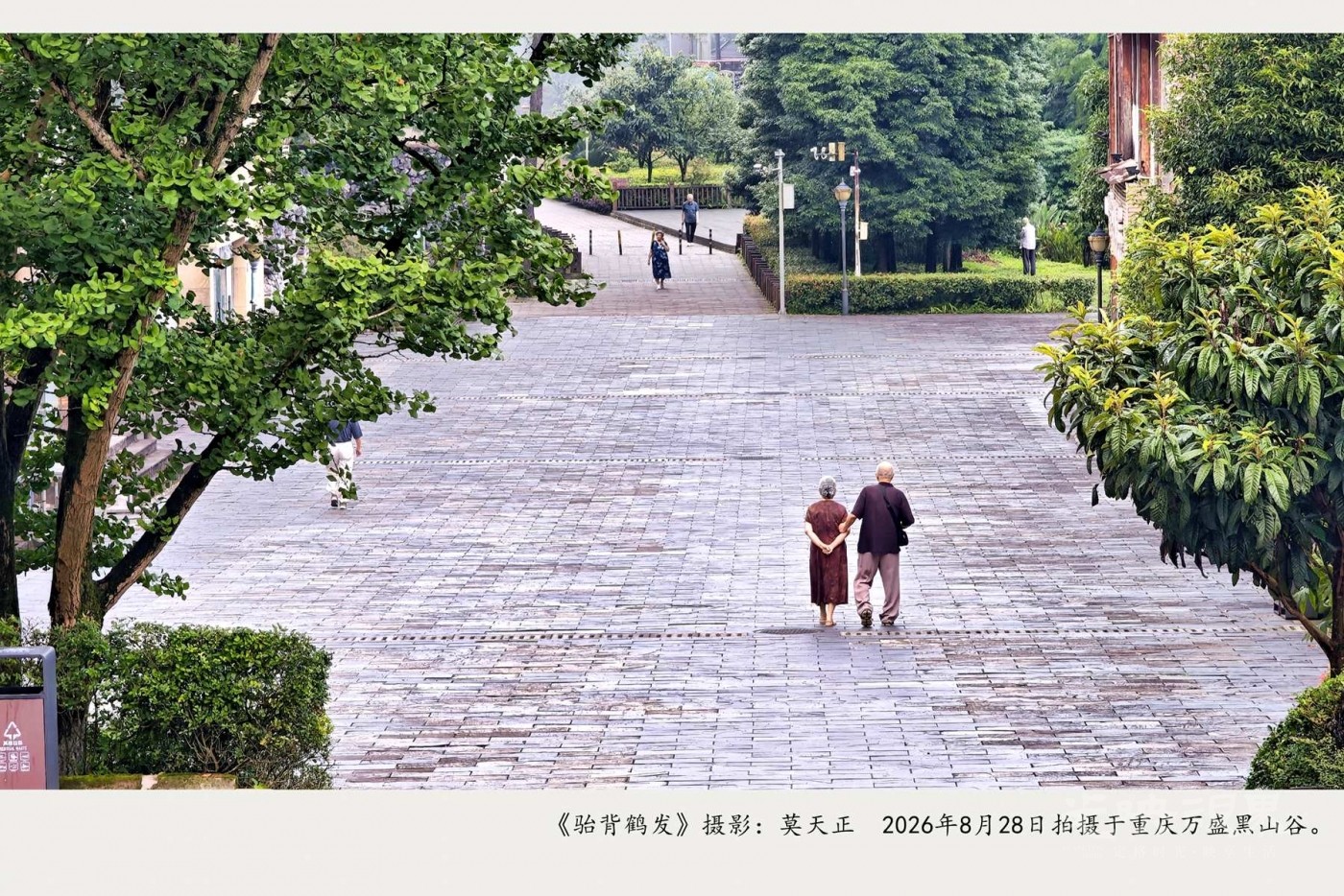 IMG_20260828_065212_副本.jpg