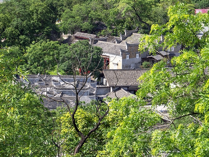 P1010027.jpg