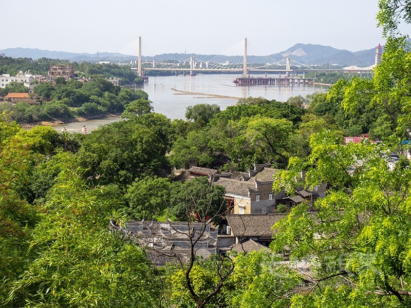 P1010028.jpg