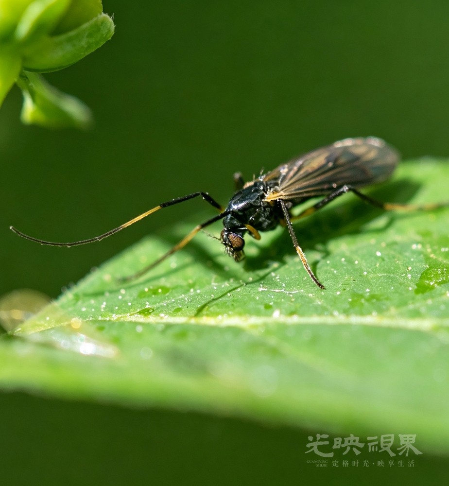 DX3_0621.jpg