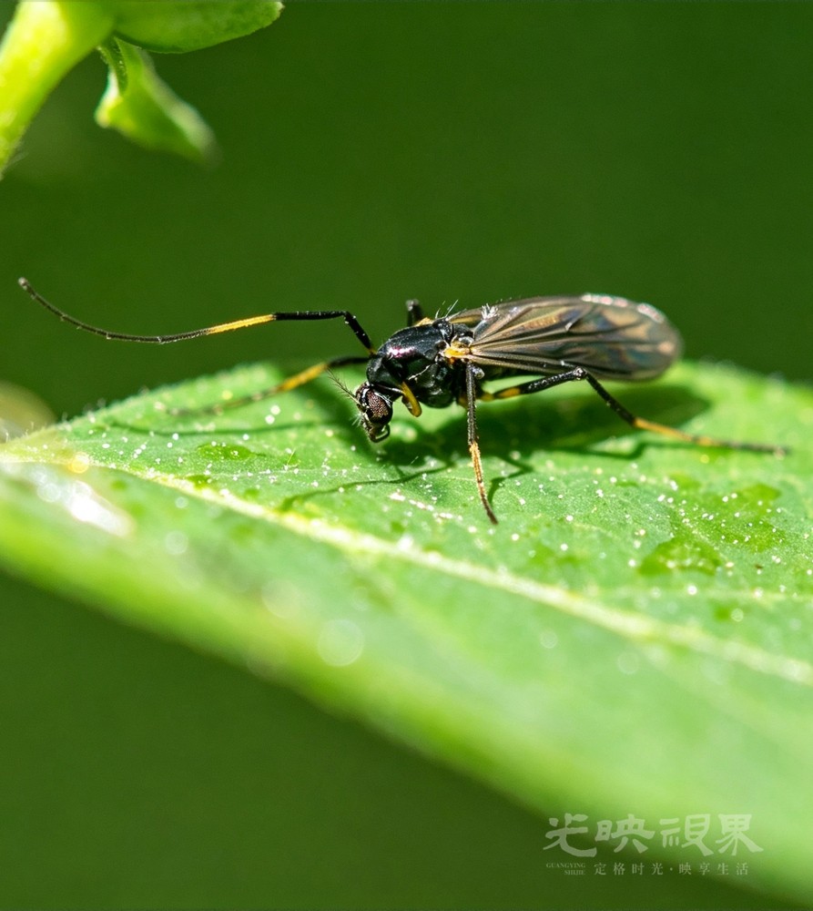 DX3_062010.jpg