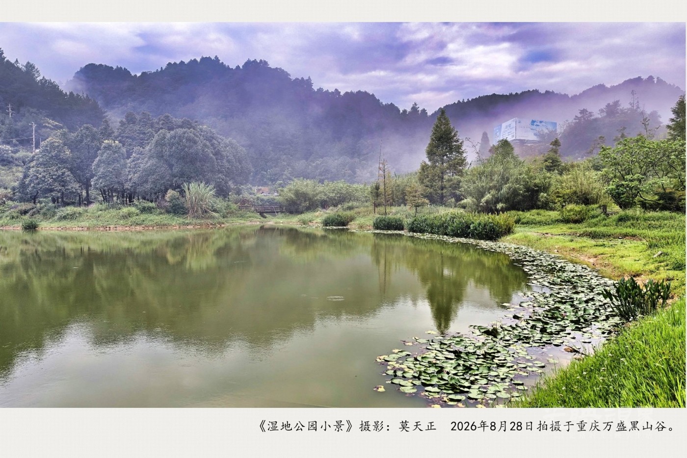 IMG_20260828_070130_副本_副本.jpg