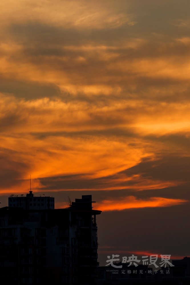 _DSC9154.JPG