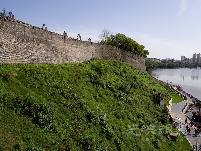 P1010047.jpg