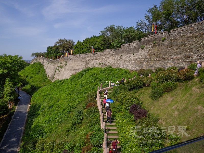 P1010046.jpg