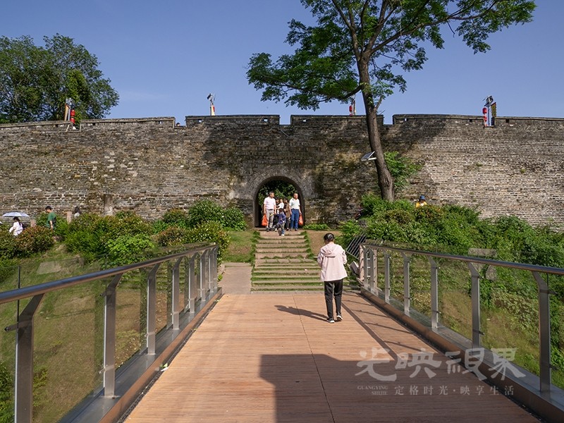 P1010048.jpg