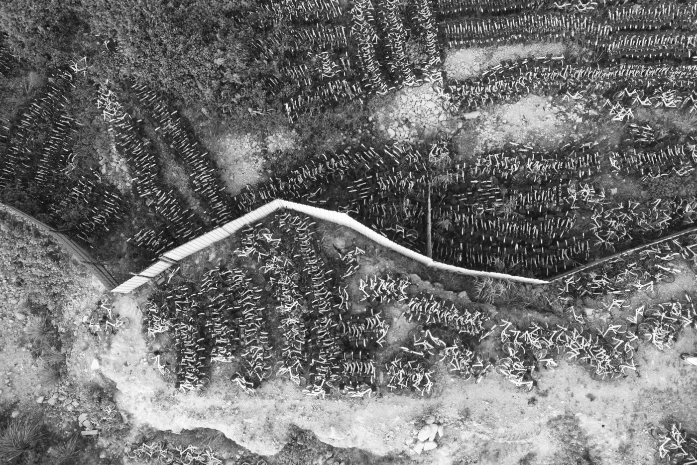 DJI_0206_1_1.JPG