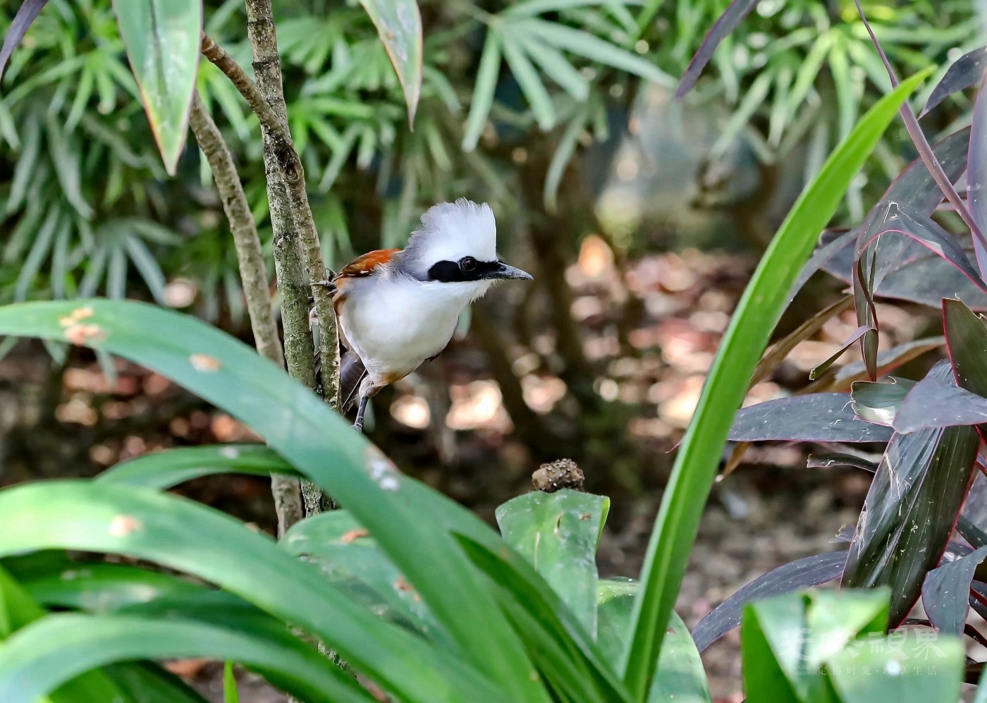 BK2A3418.JPG