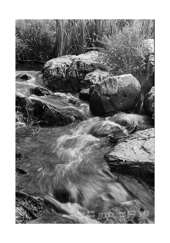 Untitled (7).jpg
