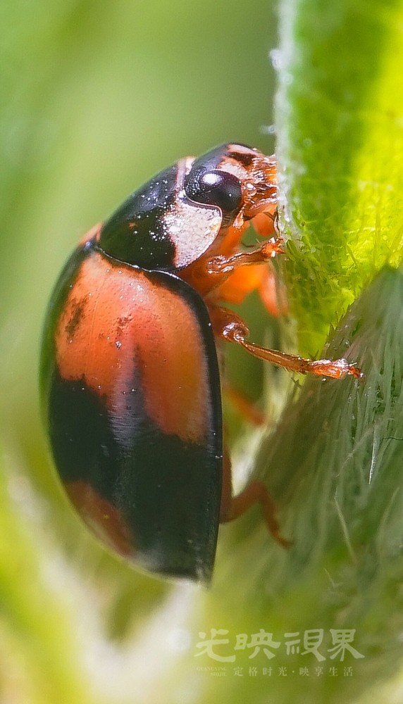 DXA08557.jpg