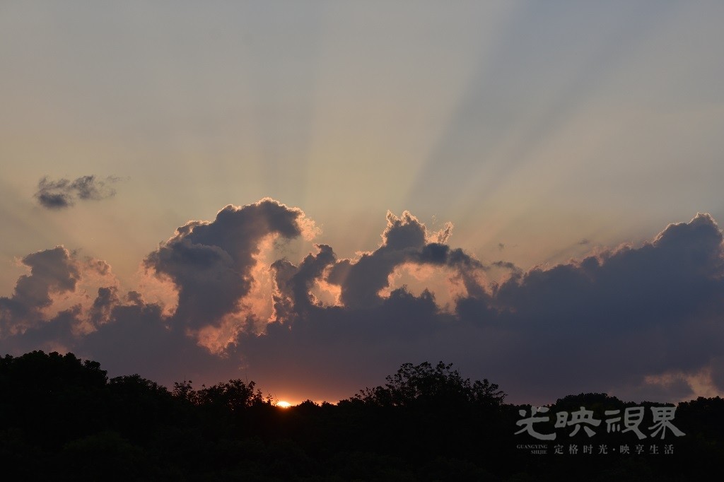 D72_2720.JPG