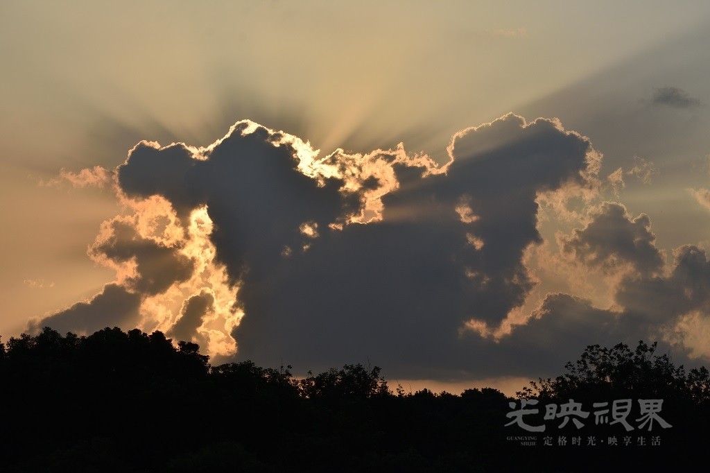 D72_2696.JPG