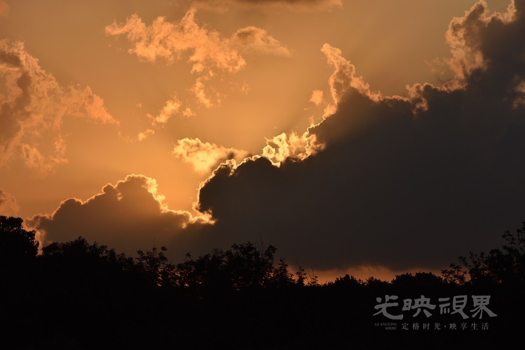 D72_2708.JPG