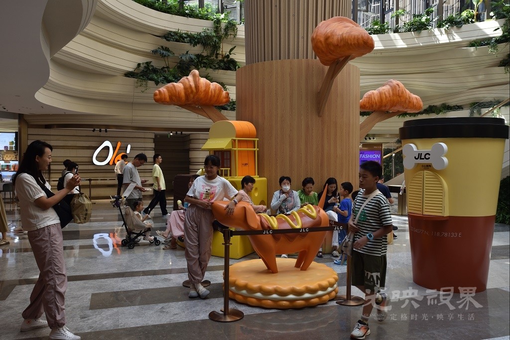 D72_7529.JPG