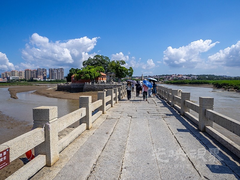 P1010009.jpg