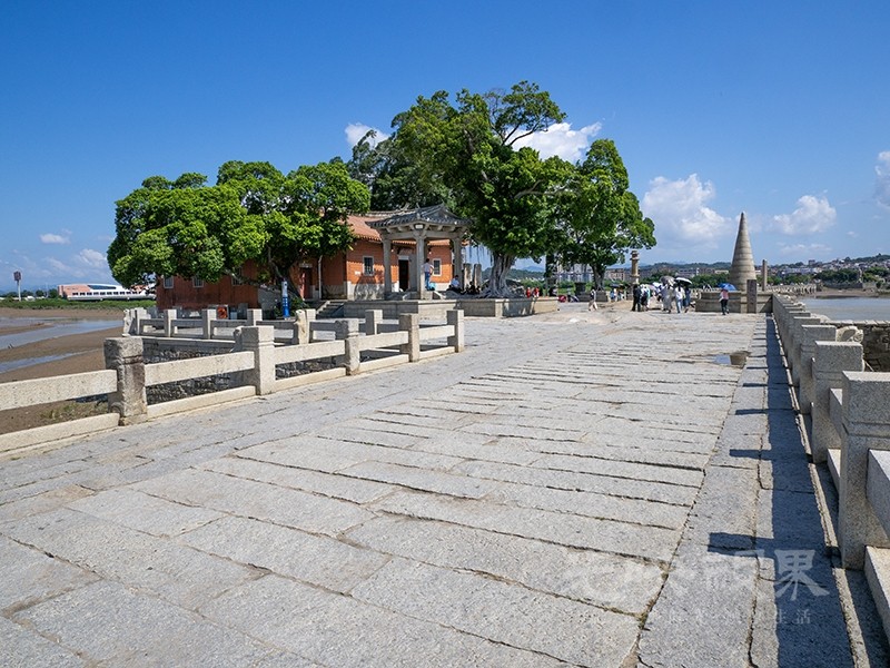 P1010012.jpg