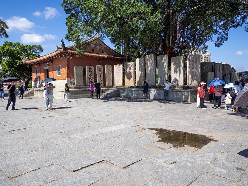 P1010013.jpg