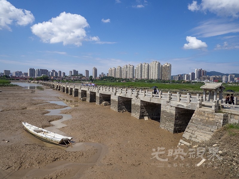 P1010028.jpg