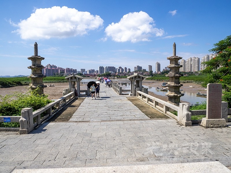 P1010027.jpg