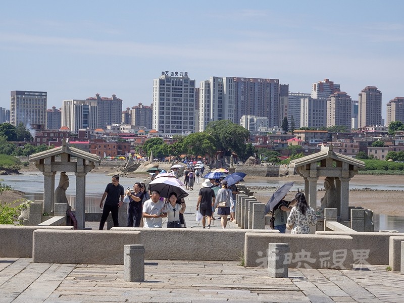 P1010031.jpg