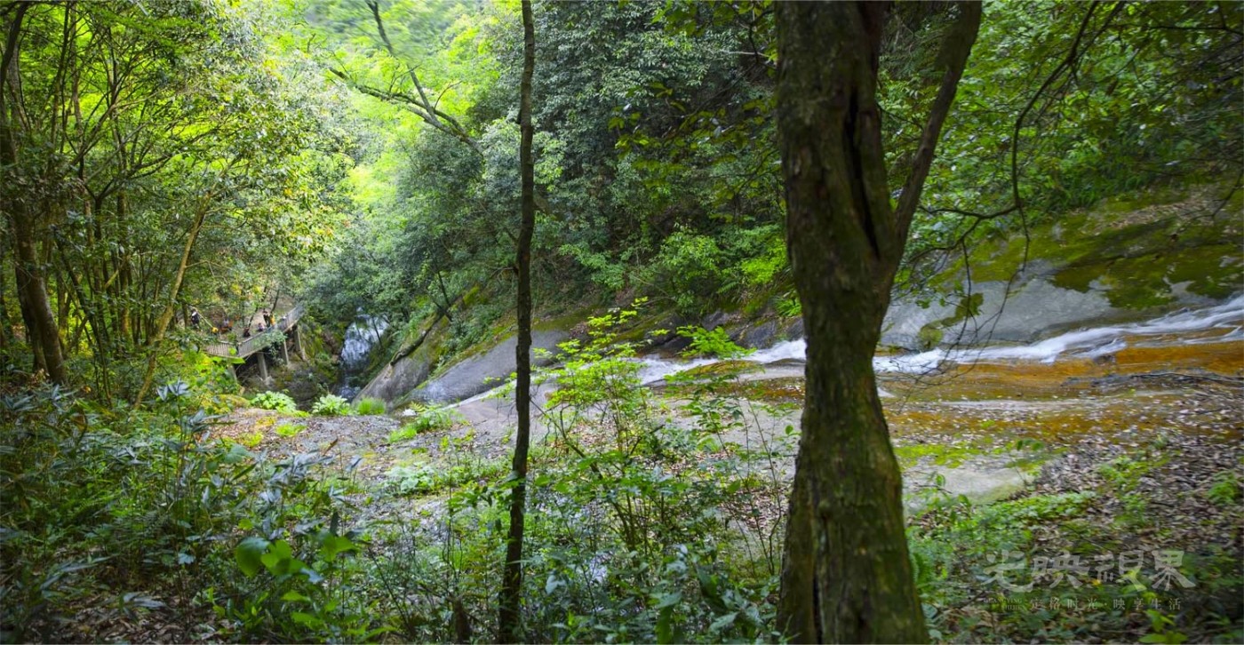 20190504安徽金寨燕子河大峡谷039.jpg