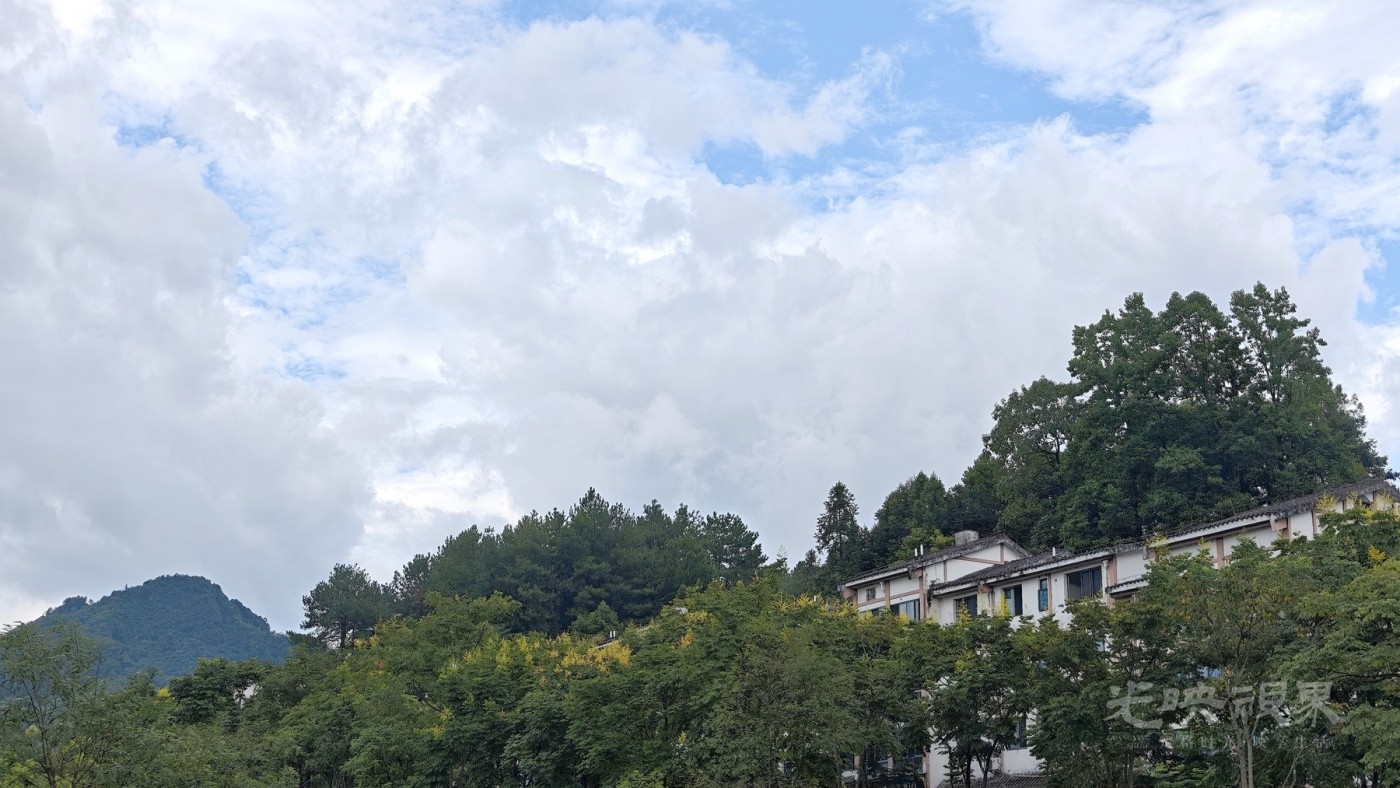 IMG_20260825_165514_副本.jpg