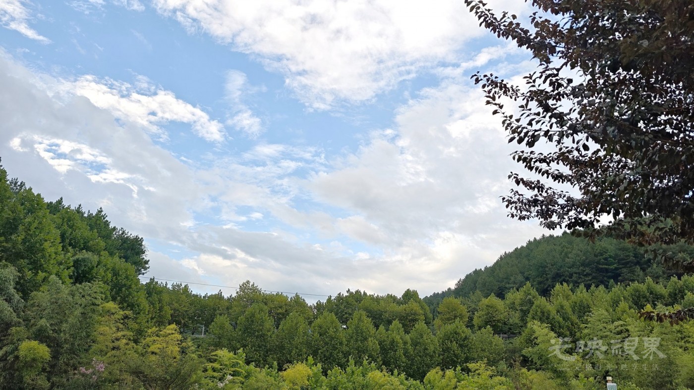IMG_20260825_171940_副本.jpg