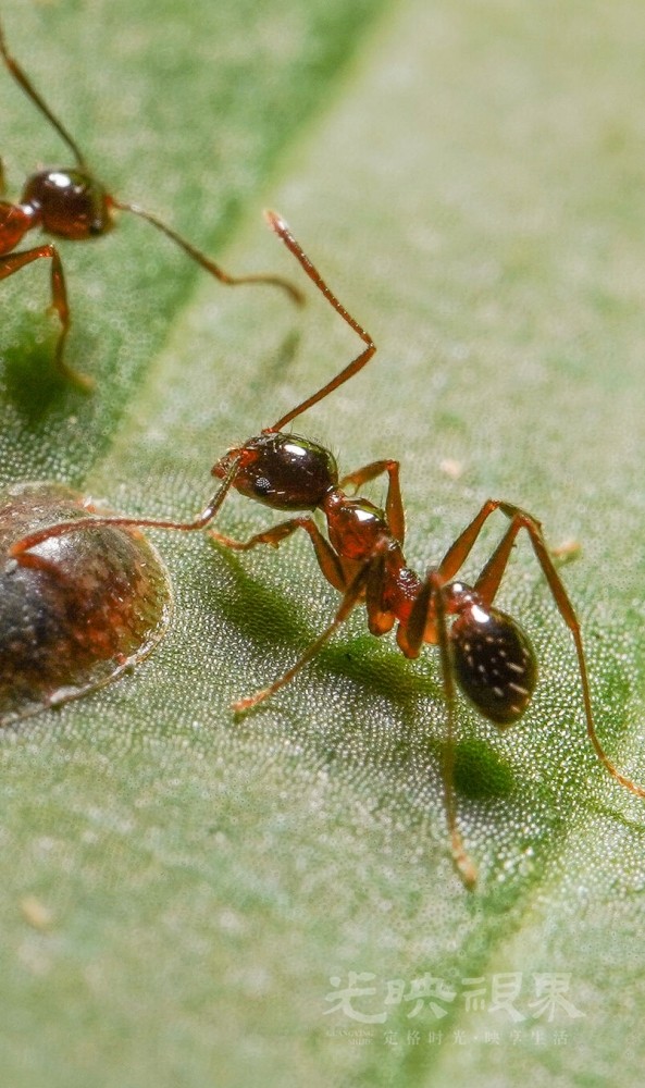 DXA01593.jpg