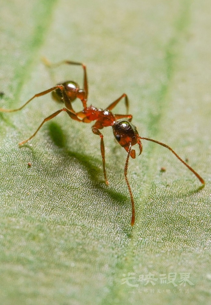 DXA01598.jpg