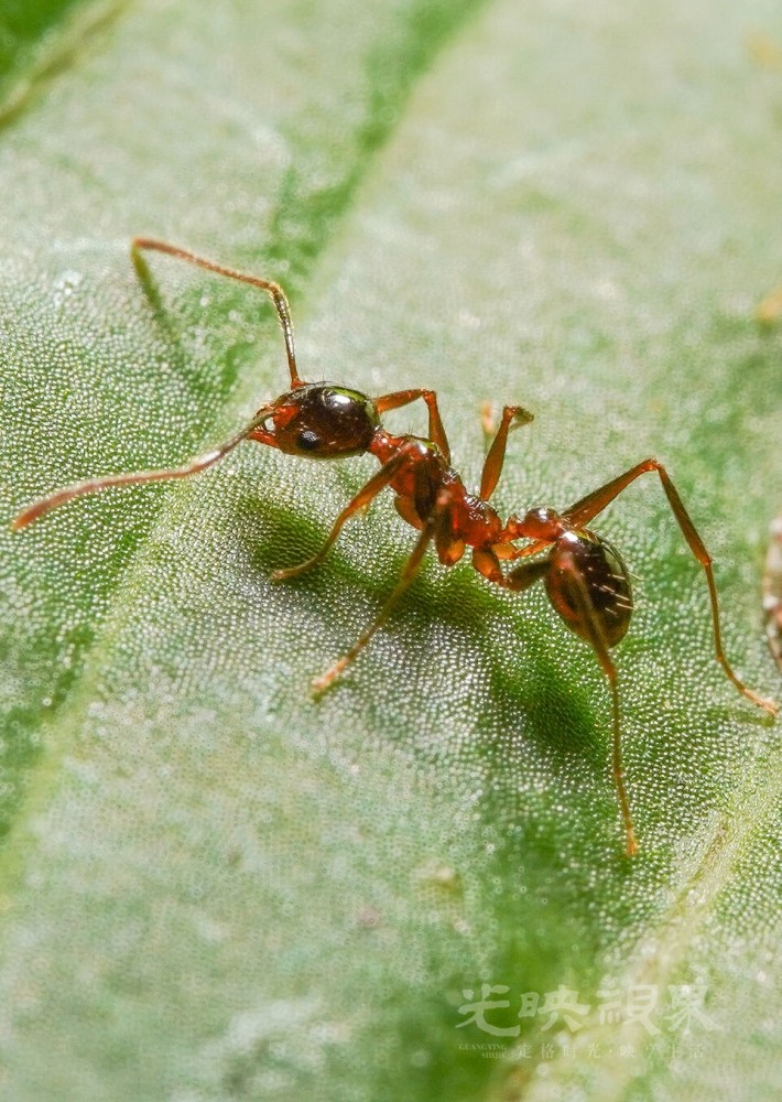DXA01610.jpg