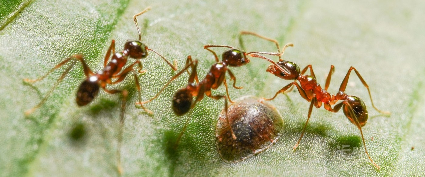 DXA01601.jpg
