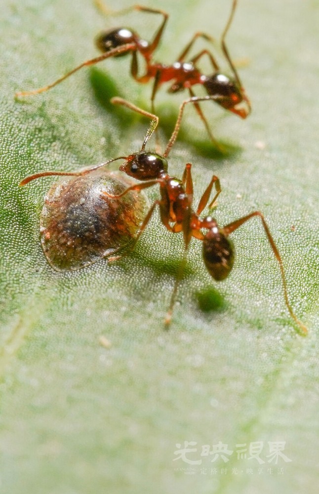DXA01608.jpg