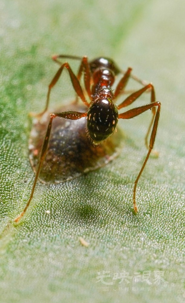 DXA01642.jpg