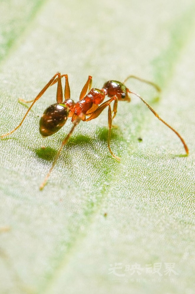 DXA01696.jpg