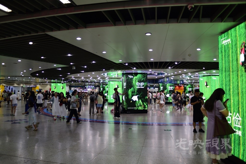 D81_2534.JPG