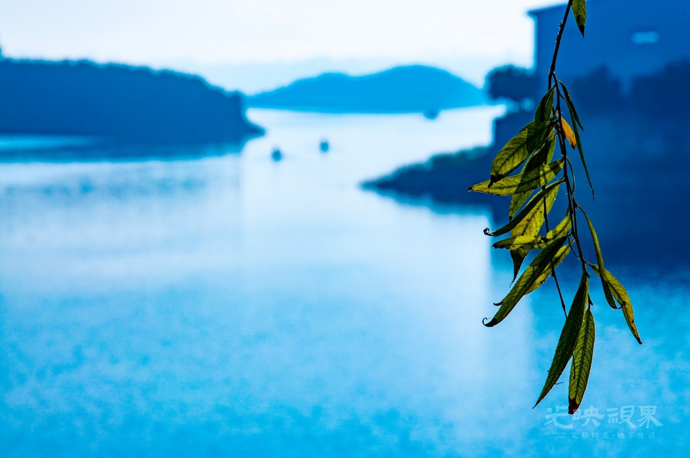 _DSC0212.jpg