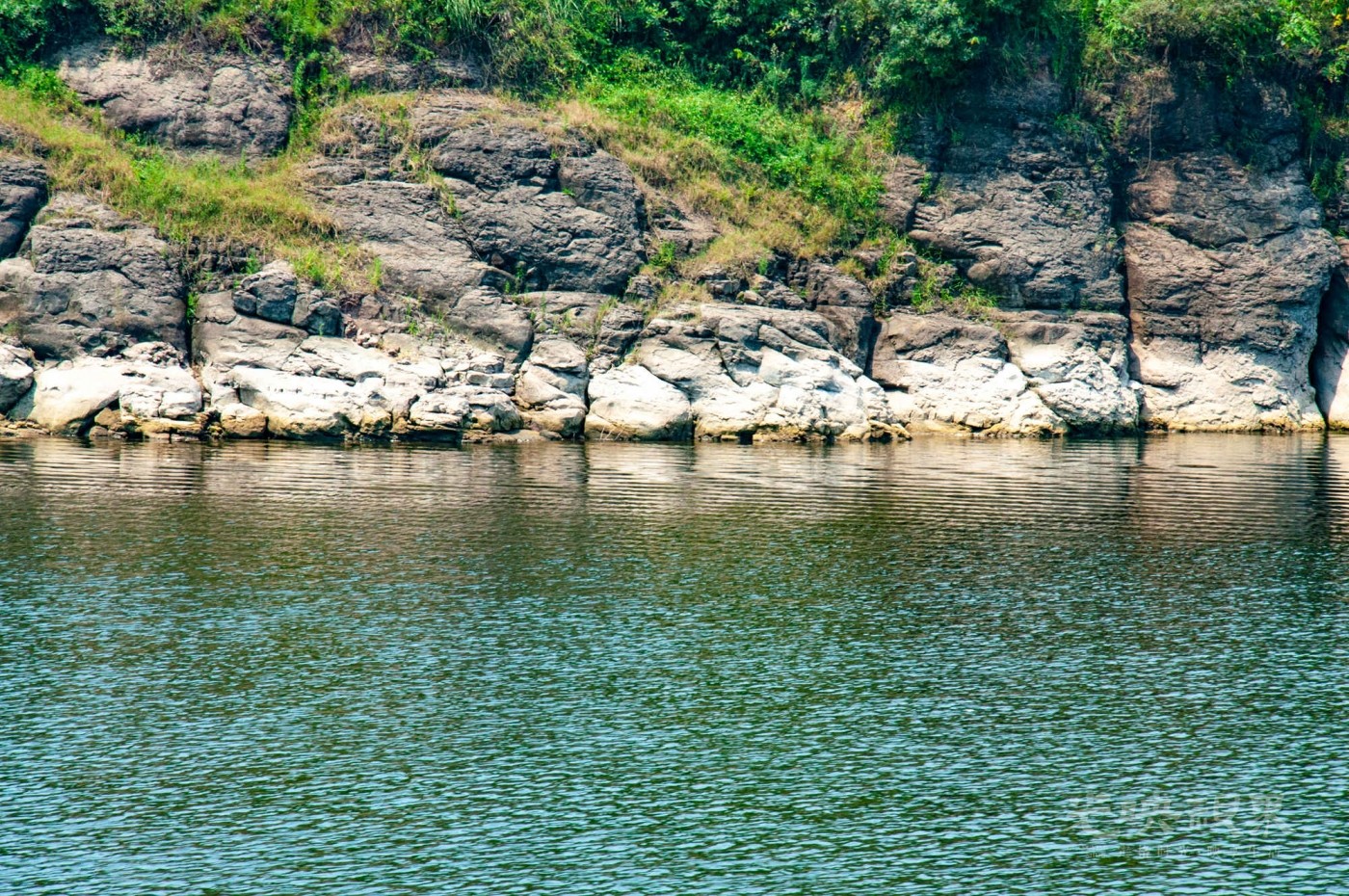 _DSC0330.jpg