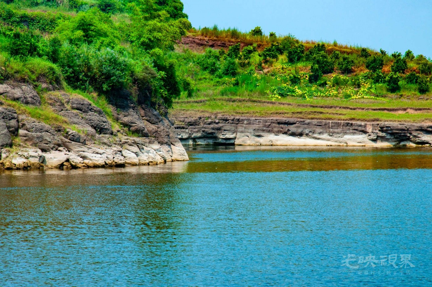 _DSC0332.jpg