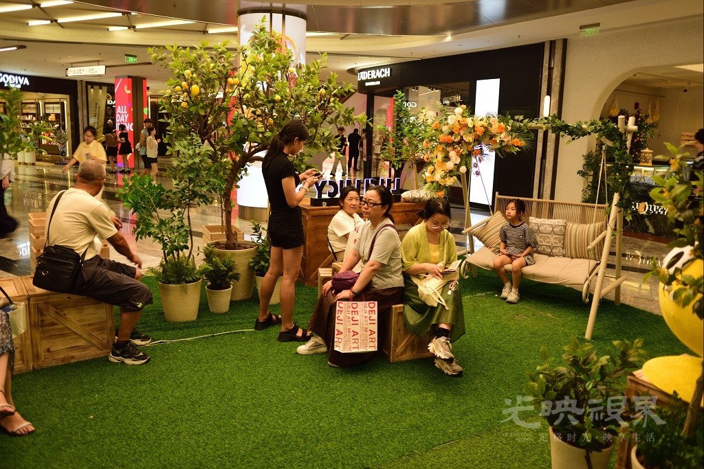 D81_2550.JPG