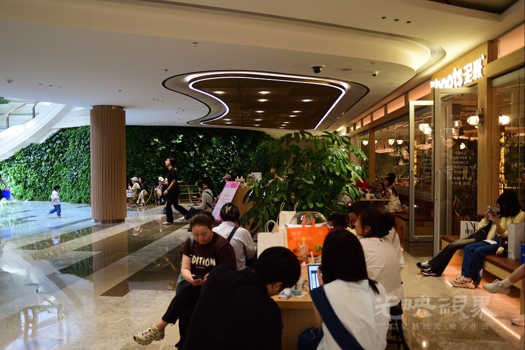 D81_2551.JPG