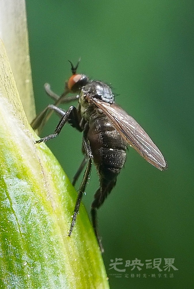 DXA08344.jpg