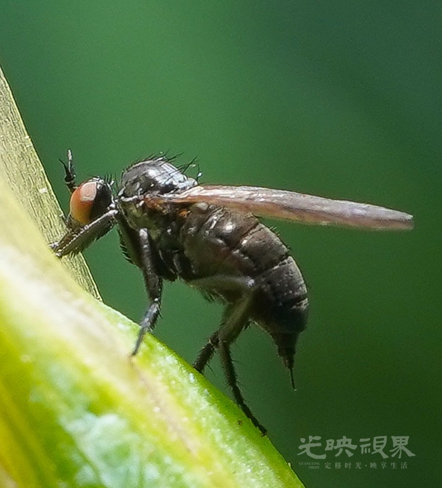 DXA08351.jpg
