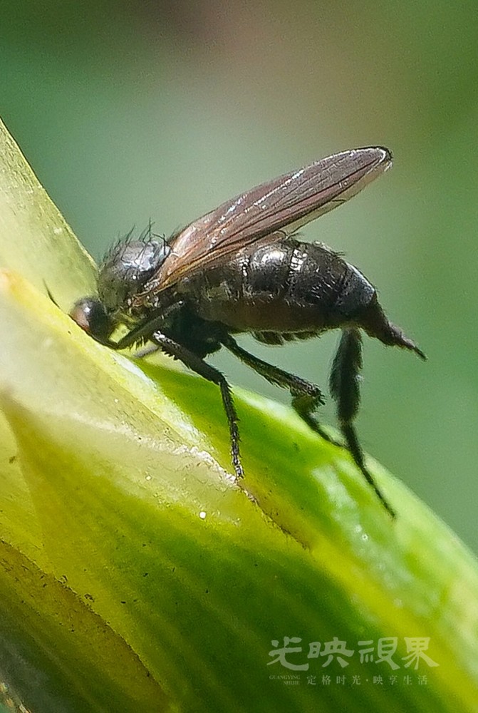 DXA08387.jpg