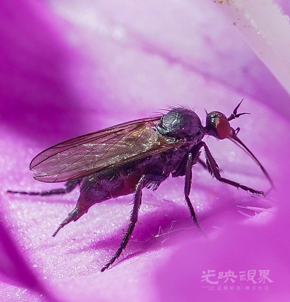 DXA08433.jpg