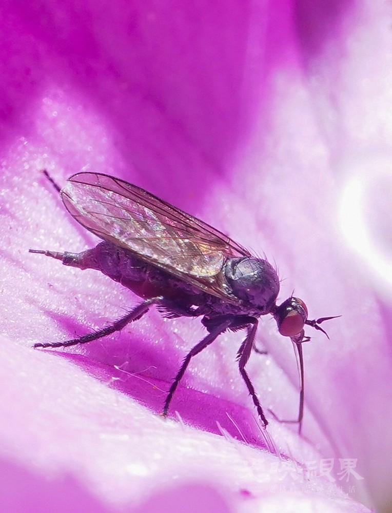 DXA08443.jpg