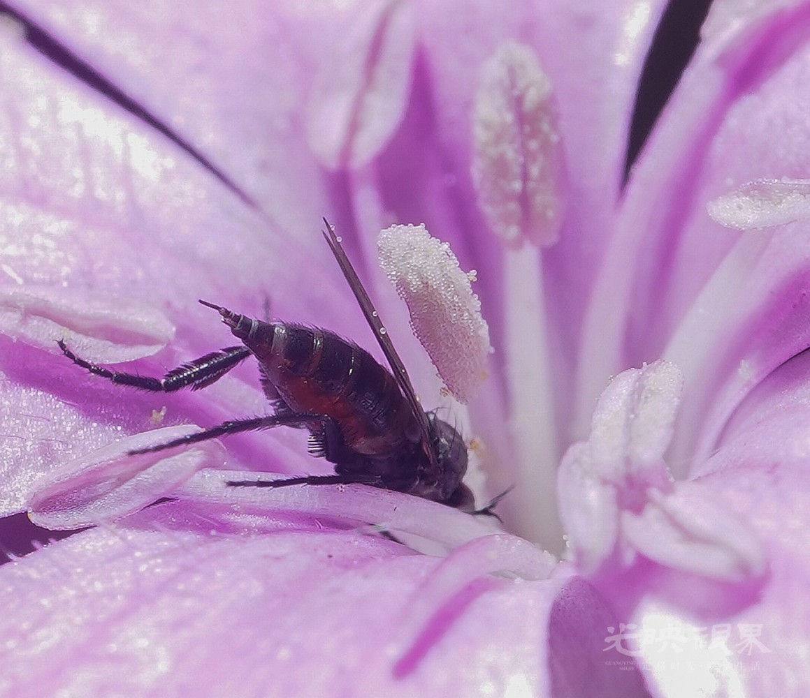 DXA08461.jpg
