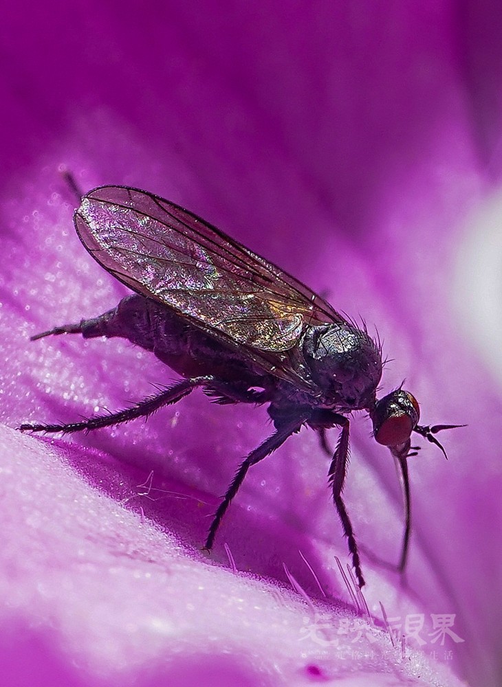 DXA08466.jpg