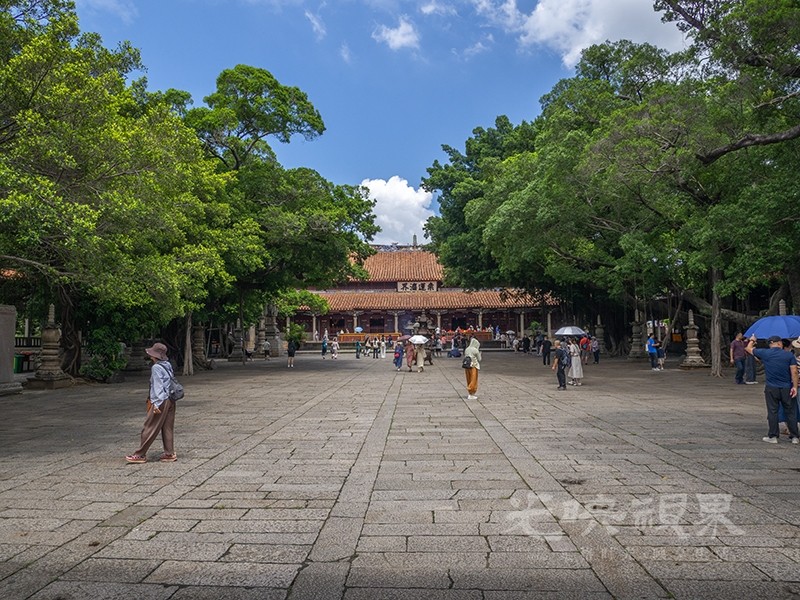 P1010049.jpg