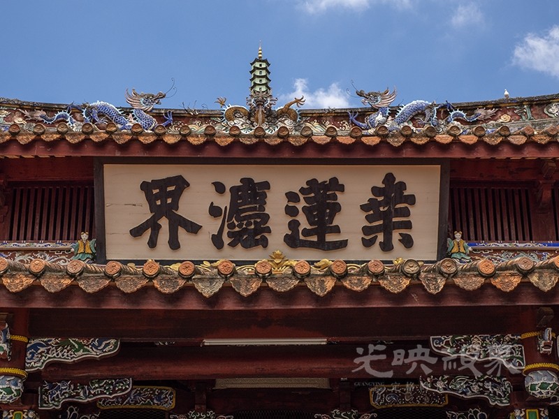 P1010061.jpg